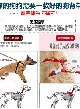 RedDingo瑞鼎狗胸背带狗工字背带防爆冲宠物背带牵引遛狗可调大小