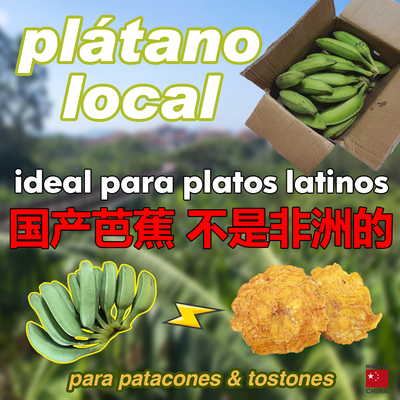 plátanos crudos para patacones fritos comida latina fresco