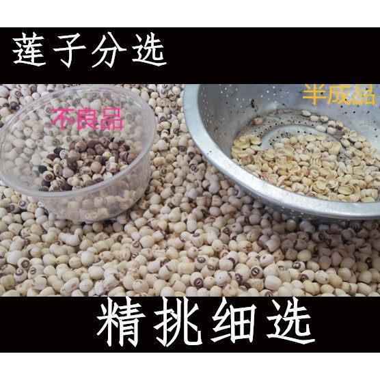 新货白莲子干 干货莲子500g带心野生白莲子无硫湘莲白莲子1件包邮