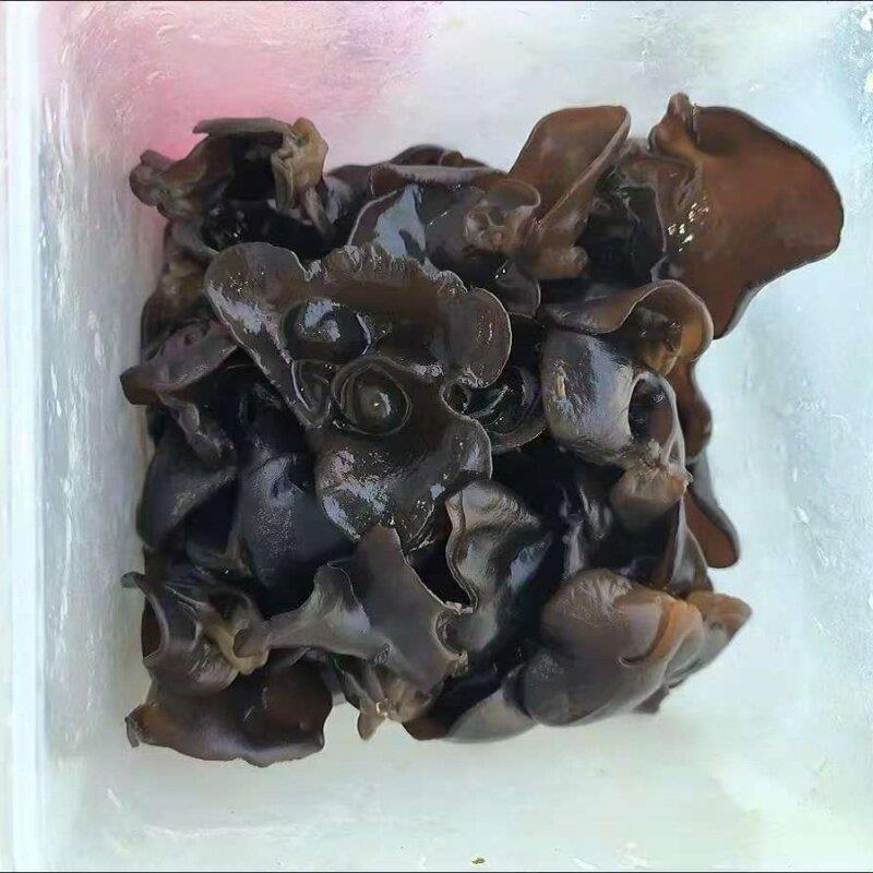 长白山特产小碗耳干货无干燥剂肉厚椴木东北黑木耳干木耳小朵