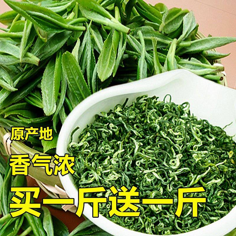 日照绿茶茶叶散装板栗香炒青高山农家茶叶500g浓香型耐泡绿茶