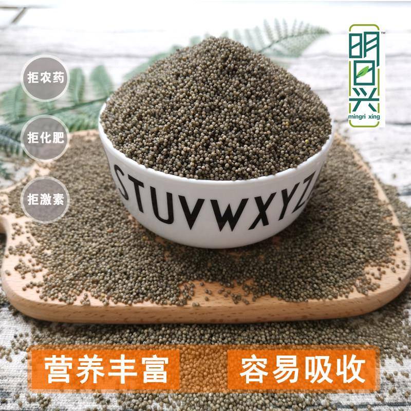 有机黑小米 明日兴有机小黑米 内蒙杂粮粗粮早餐月子儿童煮粥米
