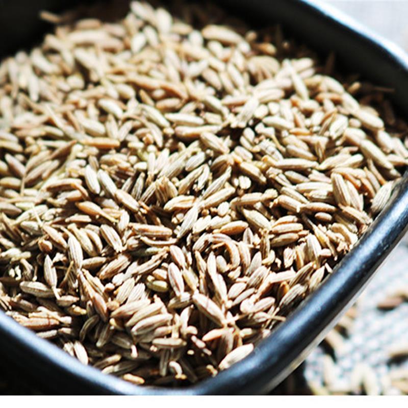 正宗烧烤孜然粒100g烧烤调