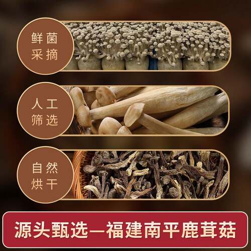 乡愁沈丹】鹿茸菇免洗免泡土特产非干货菌菇汤包火锅无硫熏200g袋
