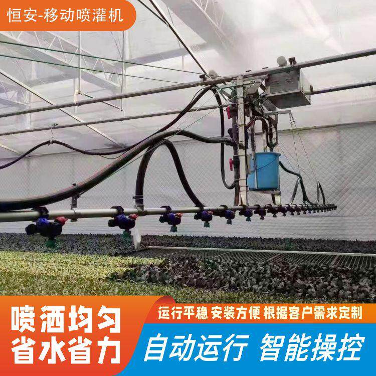 温室移动喷灌车养花双轨育苗自动喷灌机苗床喷淋系统喷灌水车厂棚