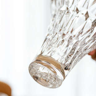 花瓶摆件客厅插花鲜花玫瑰郁金香轻奢高级感玻璃透明水培水晶花器