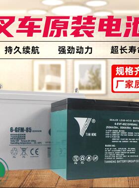 合力杭叉中力小金刚电动堆高机蓄电池12V65A85A堆高机24V40锂电池