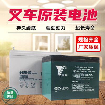 合力杭叉中力小金刚电动堆高机蓄电池12V65A85A堆高机24V40锂电池