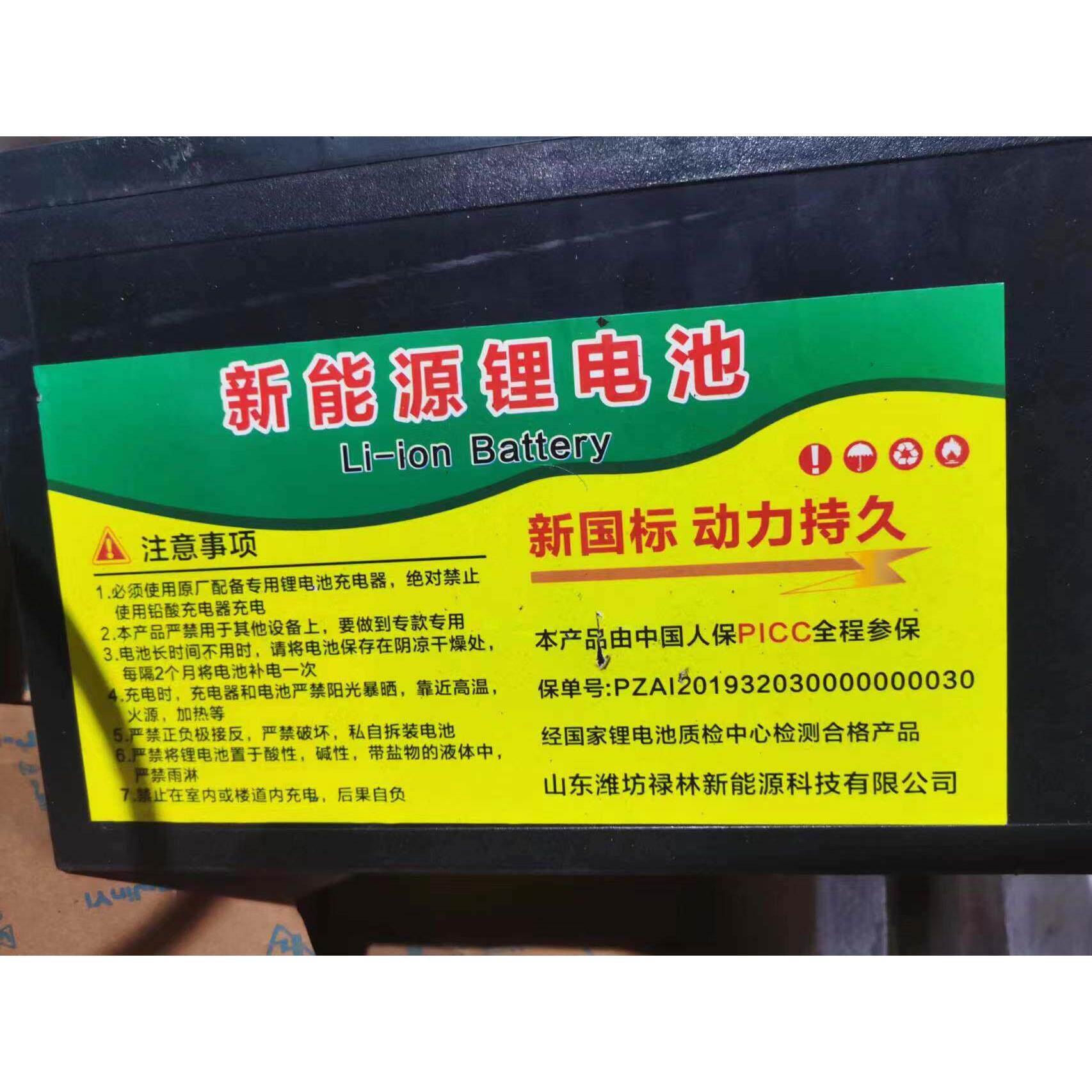 电动车锂电池48v12ah大容量电池电动老虎车专用国标两轮车通用