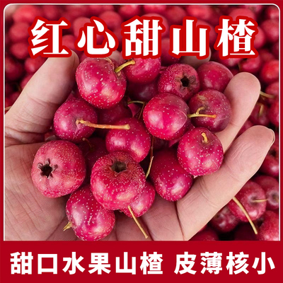 新鲜山楂鲜果甜口红心甜红子小山楂糖雪球山里红糖葫芦商用批发