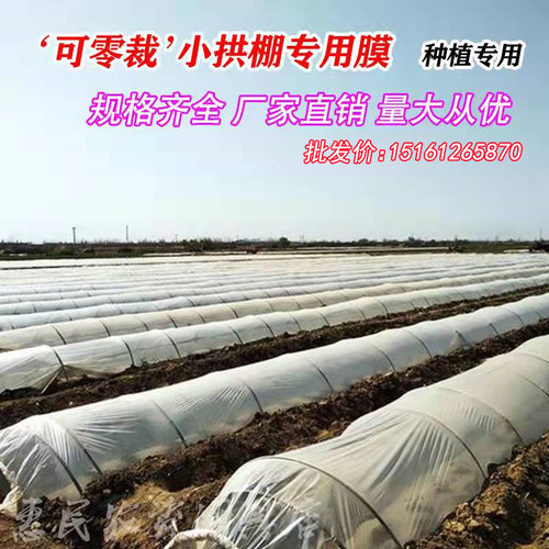 可零裁白色塑料薄膜小拱棚膜保温蔬菜大棚膜防冻防寒公路防护膜