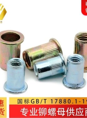 平头拉铆螺母GB/T17880.1铁碳钢镀锌环保圆身通孔特制短款加长