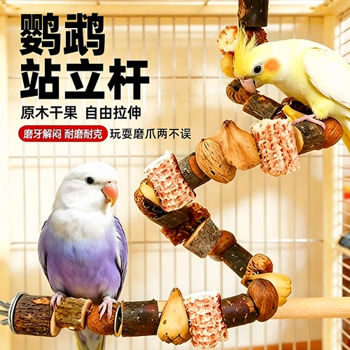 天然干果鹦鹉站杆！磨牙磨爪玩具