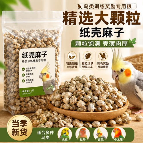 大颗粒纸壳麻子鹦鹉互动训练奖励
