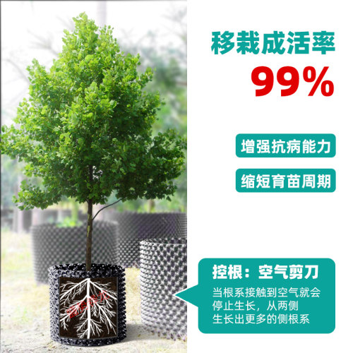 控根器 塑料控根器围树板 控根器植树专用 控根器底盘 控根器花盆