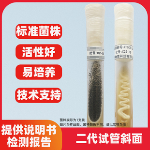 枯草芽孢杆菌二代斜面CMCC(B)63501质控菌株试验用标准菌种
