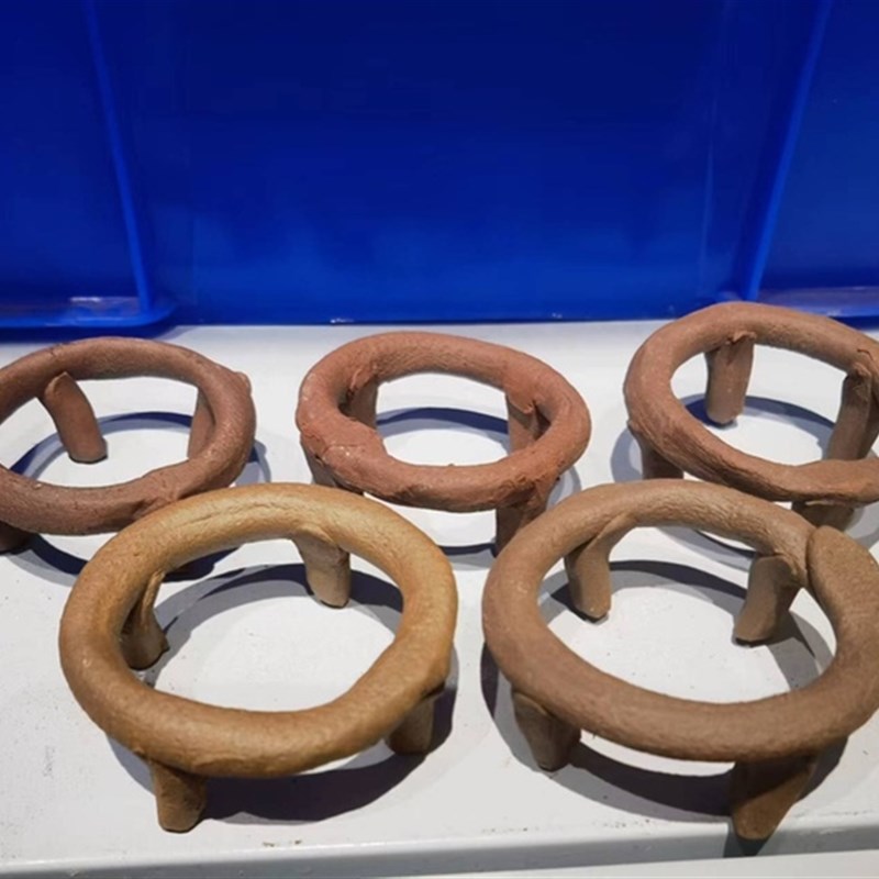 脑类珊瑚基座底座富士脑珊瑚基座培育繁殖小中大号加大号底座支架