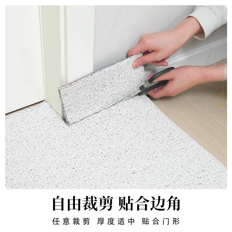入户门地垫进门家用防滑脚垫子丝圈地毯门外门口门垫2024新款定制