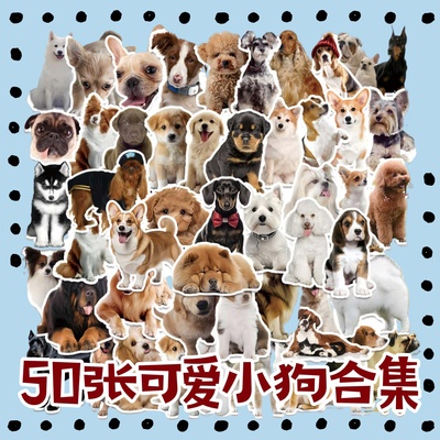 50张透明可爱小狗法斗金毛贴纸