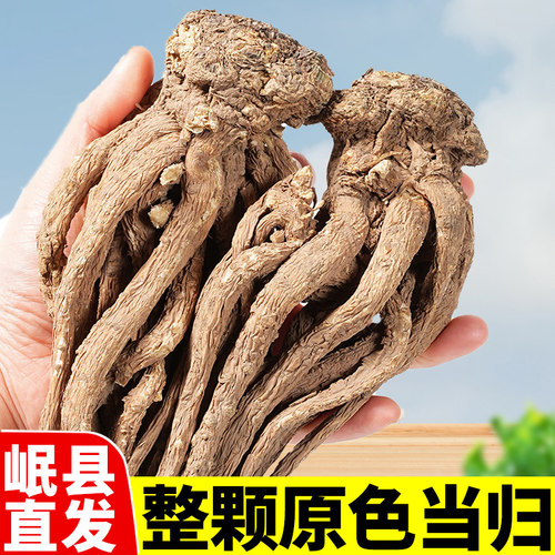 甘肃药当归整根【大条无硫熏】