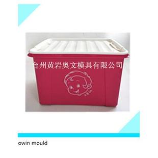 大号家用防尘储物箱模具 新款 透明塑料手提整理箱模具