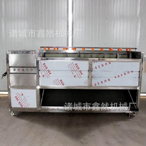 厂家供应 土豆 红薯 大姜 马蹄  猪蹄  猪头 毛刷清洗机不锈钢材