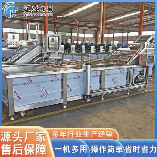 全自动蒲公英鼓泡清洗机 不锈钢果蔬清洗机 蔬菜清洗机 厂家供应