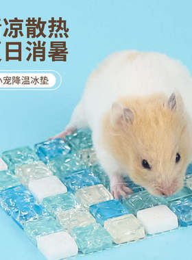 仓鼠龙猫夏季降温冰垫