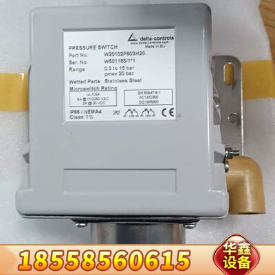 delta 防爆压力开关 W20102P603H2