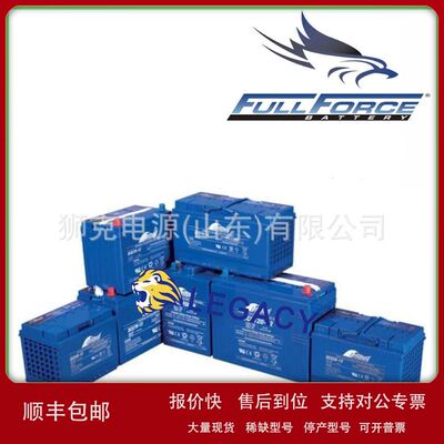 美国FULLFORCE蓄电池DC225-12、DC240-12、DC260-12免维护电瓶议