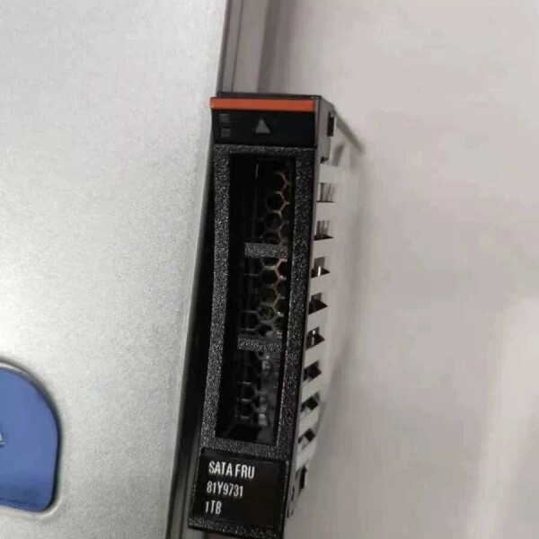 IBM 81Y9731 81Y9730 1T 7.2K SA - 实物图