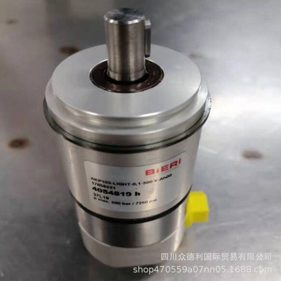 BRK12-6.33-650-P-B*00         BIERI比利液压泵议价