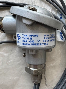 Kjaerulf KPSCR温度传感器 1xpt100