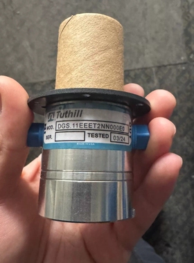 - 【】Tuthill DGS.11EEET2NN0