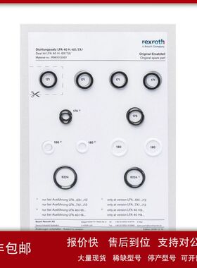 R900314242  SEALKITCD250B40/28MA  Rexroth密封套件议价
