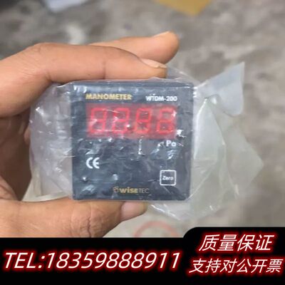 WTDM-200WISETEC气体流量计控制表询价