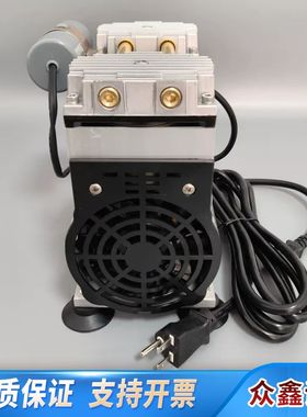 赛默飞热电3880i外置泵，型号114879-00-EI