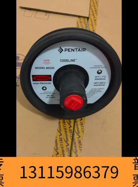 众桦PENTAIR  MODEL 80S30  端盖- 未使议价