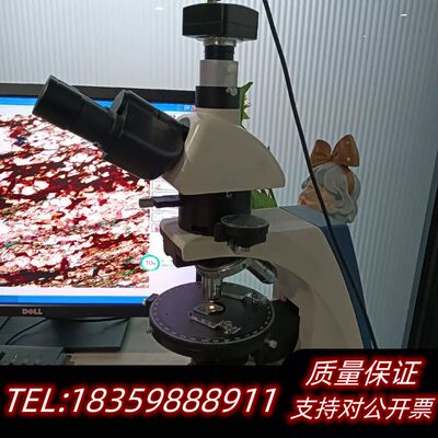 国产OPTEC奥特BK-POL三目透射偏光显微镜询价
