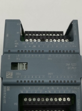 S7-1200 SM1223 DC/RLY模块，型号6