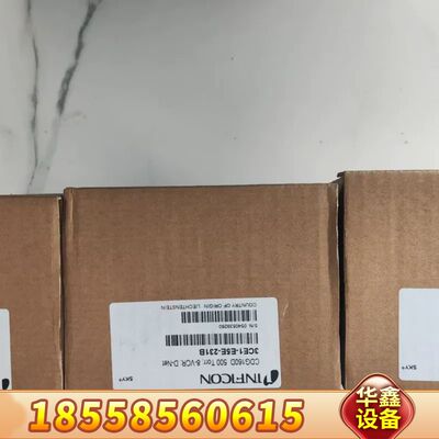 英福康CDG160D真空计 500 Torr