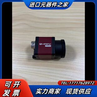 德国ALLIED工业相机GPF-033B ASG,原装,议价