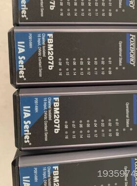 FOXBORO 福克斯波罗FBM207b模块，，议价