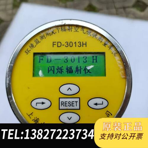 FD-3013H  环境监测用x y吸剂量率仪 ，