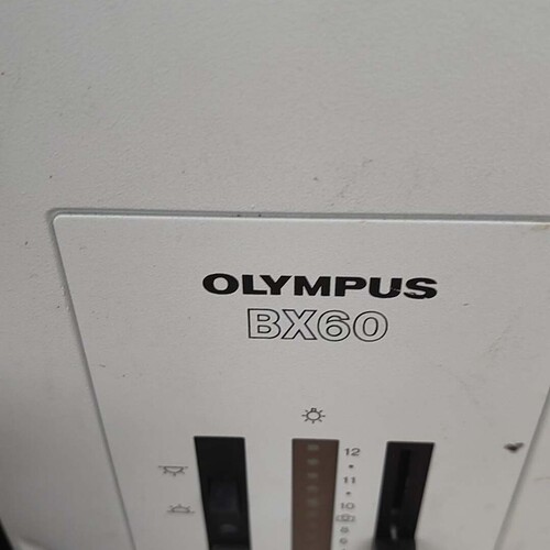 OLYMPUS  BX60F5