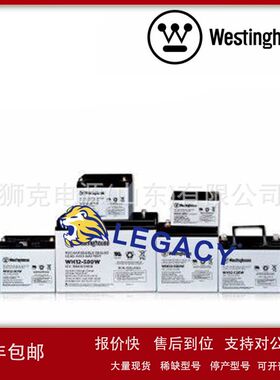 美国WESTINGHOUSE蓄电池WD6-180、WD6-200、WD1272、WD12120电瓶