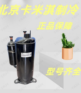 PZ70E1A  SZ80E1H  PA80H1C 冰箱展示柜冰保鲜压缩机R600制冷剂议