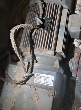 SLER三相异步电动机，型号R87D132S4-47.58-