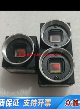 Piont grey 灰点 BFLY-PGE-13E4M-C