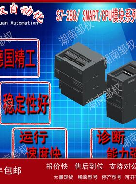 西/门子SMARTS7-2006ES7288-3AM06/3AR02/3AR04/3AT04-0AA0继电器